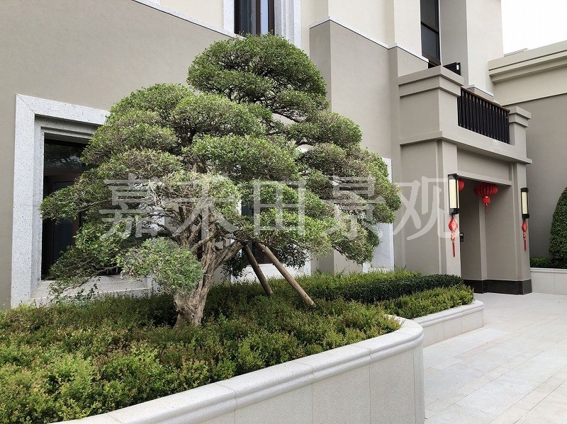 別墅景觀設(shè)計(jì)綠化環(huán)境分為哪幾部分？